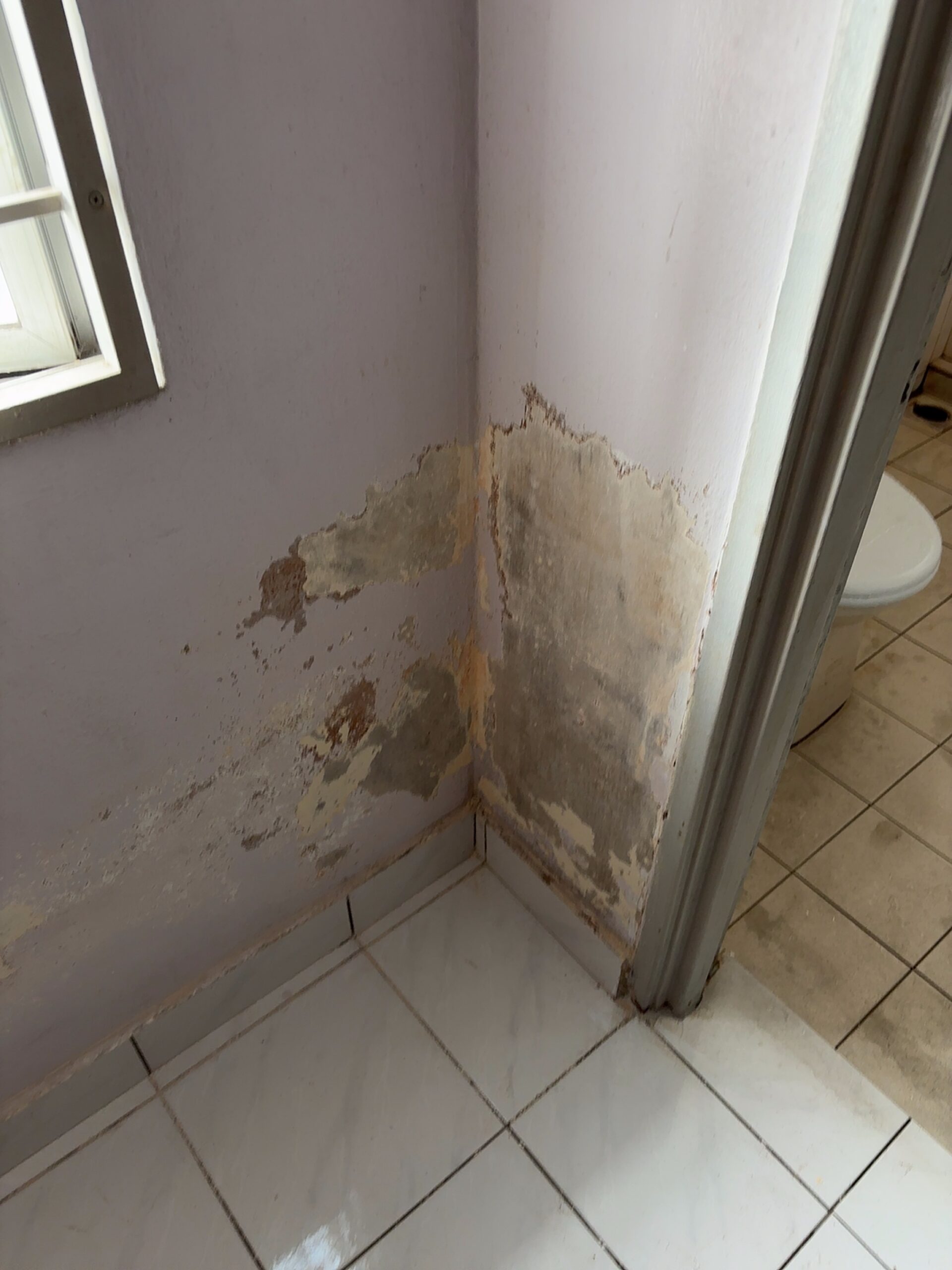 Mold