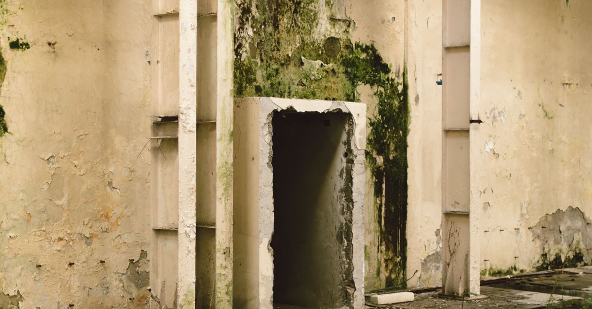 feat-6031 Controlling mould and humidity in Malaysian homes